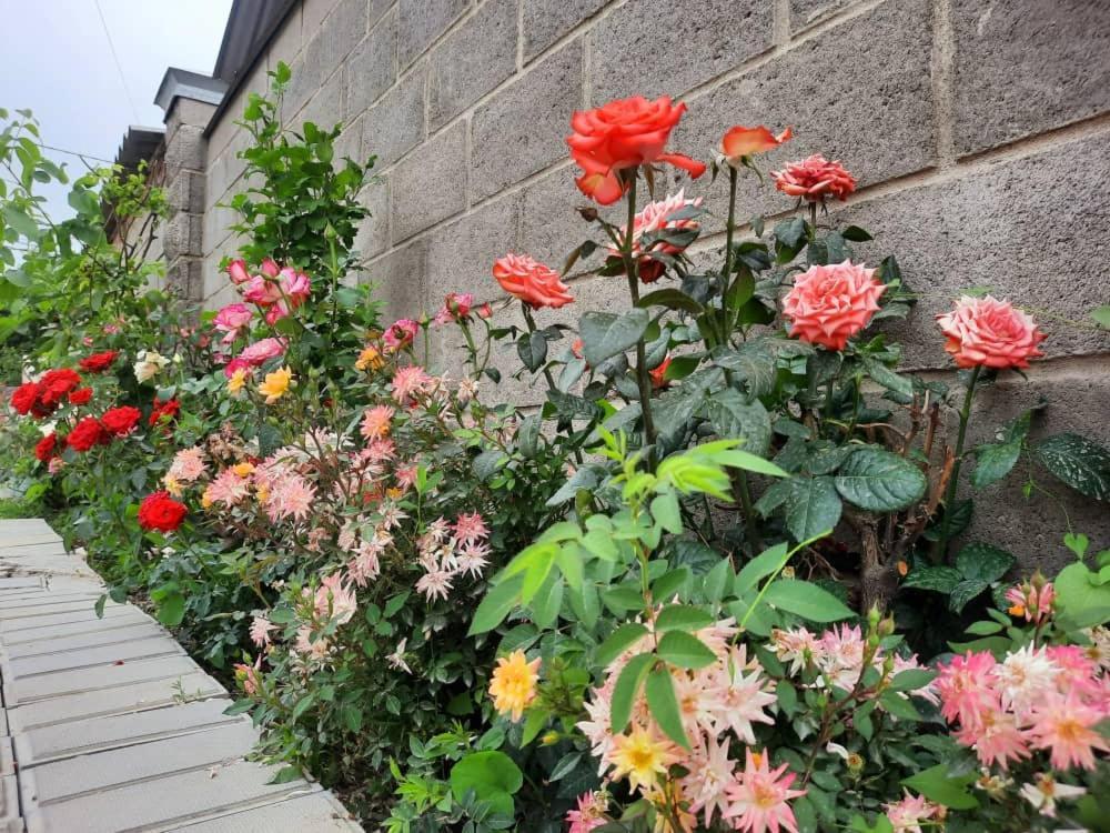 Homestay Jaisel Bisjkek Buitenkant foto